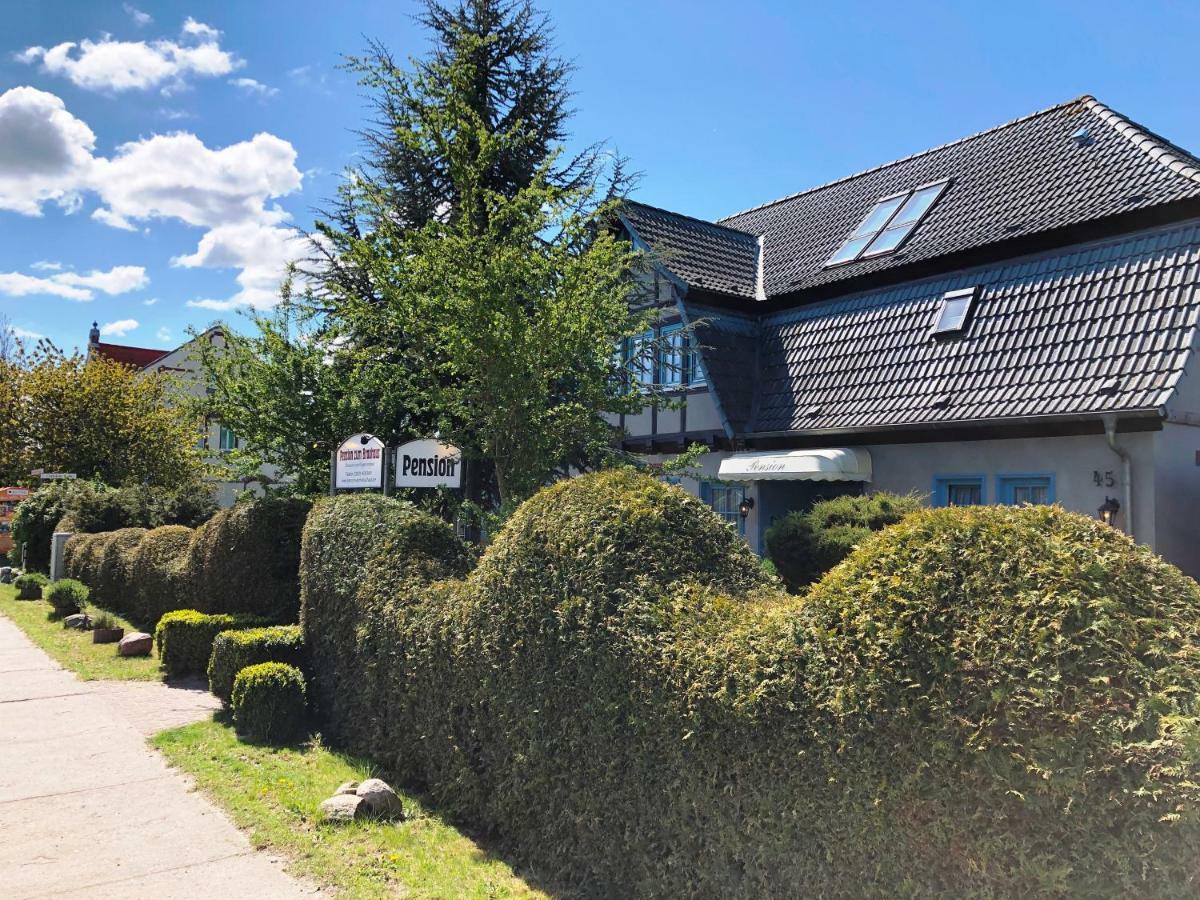 Pension Zum Brauhaus Stralsund Exterior foto