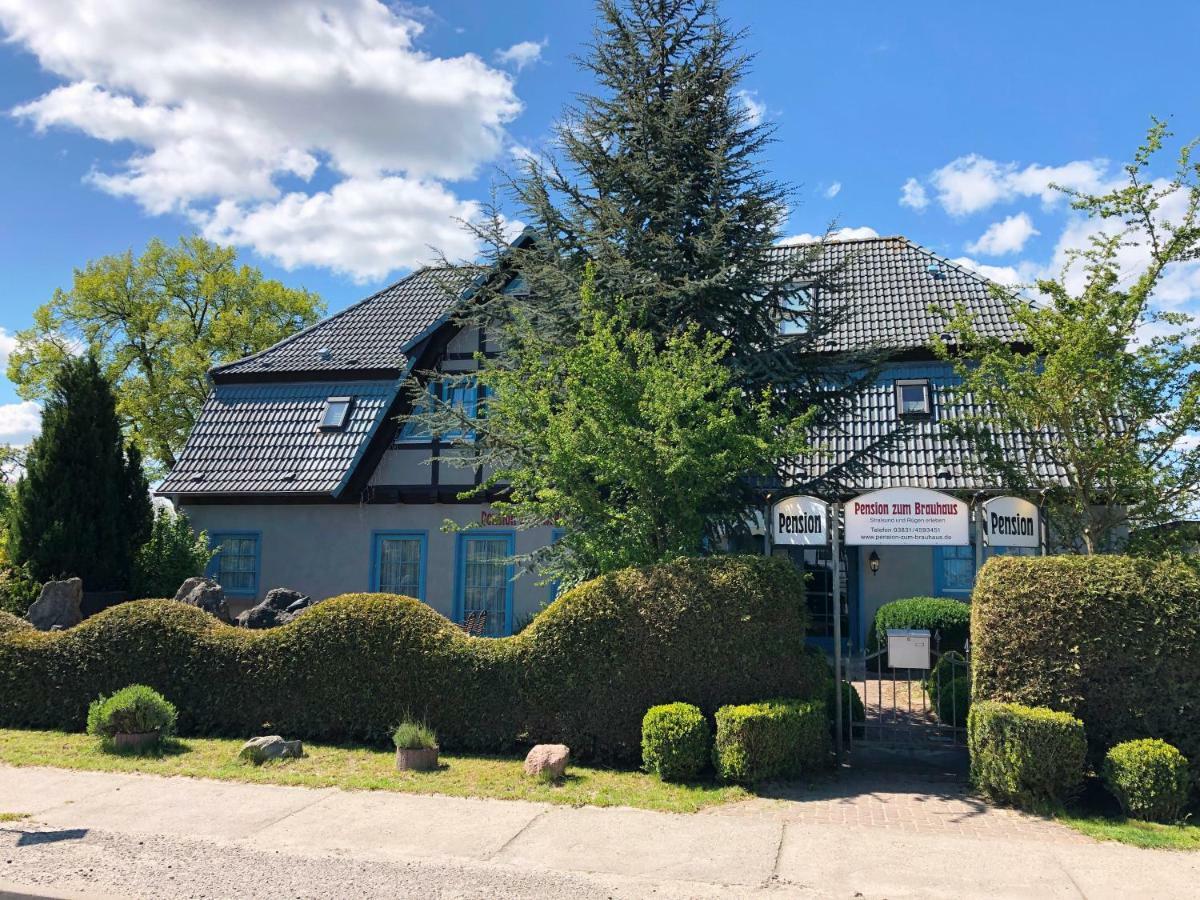 Pension Zum Brauhaus Stralsund Exterior foto